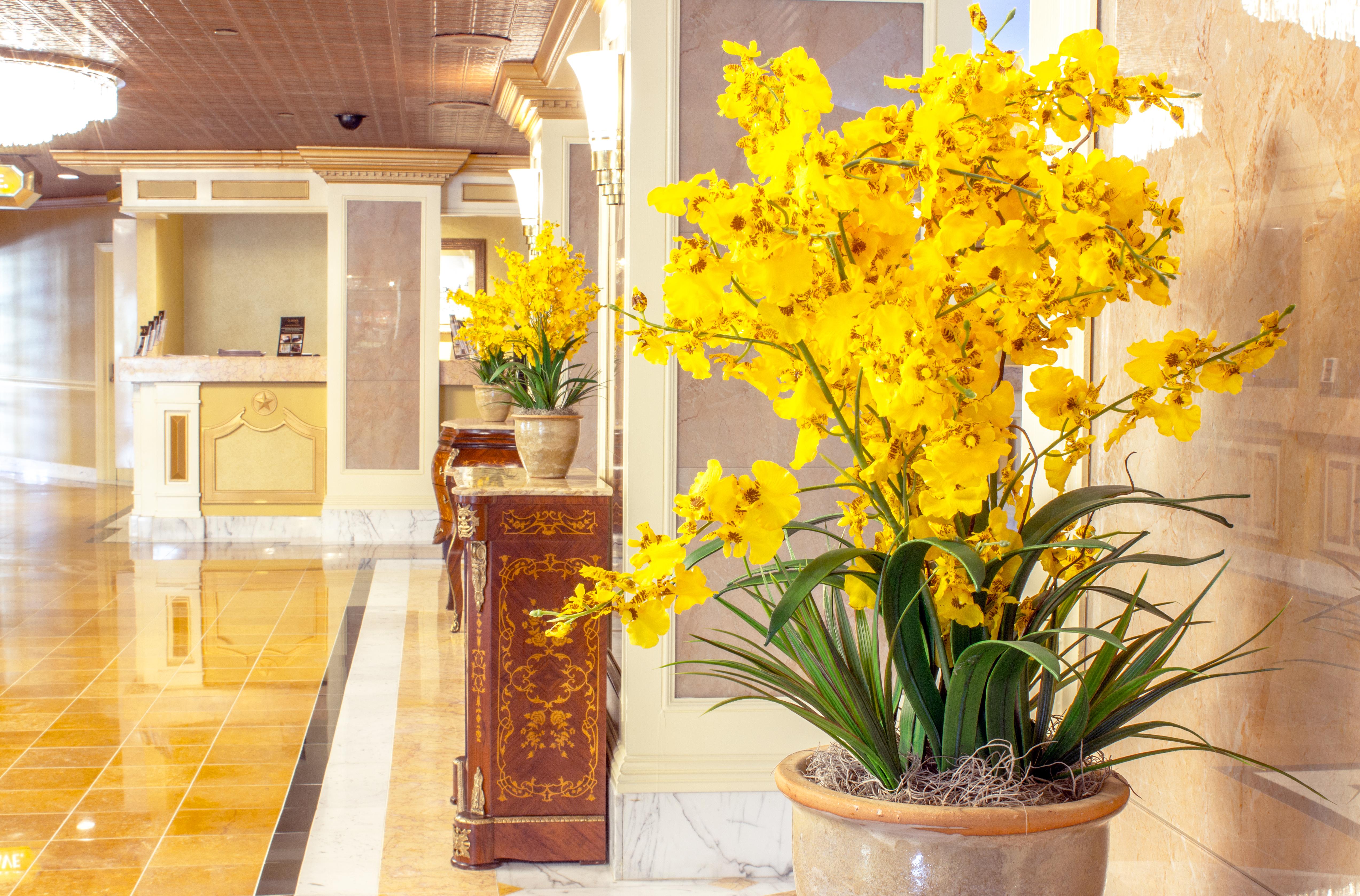 The Claridge Hotel Атлантик Сити Екстериор снимка